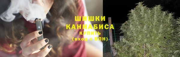 СК Михайлов