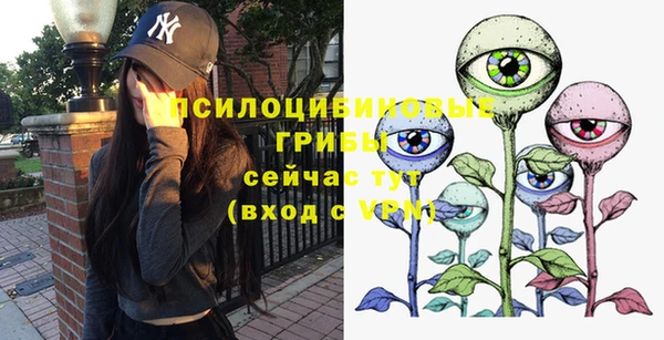 spice Анива