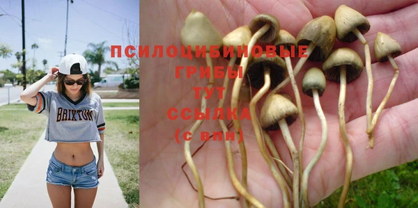 СК Михайлов