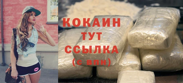 СК Михайлов