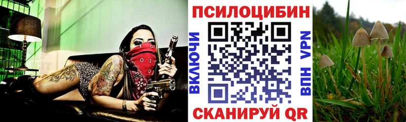 кракен как зайти  сколько стоит  Орск  Галлюциногенные грибы MAGIC MUSHROOMS 