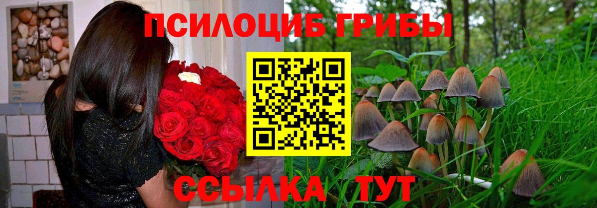 Галлюциногенные грибы прущие грибы  Вход с VPN  Орск 