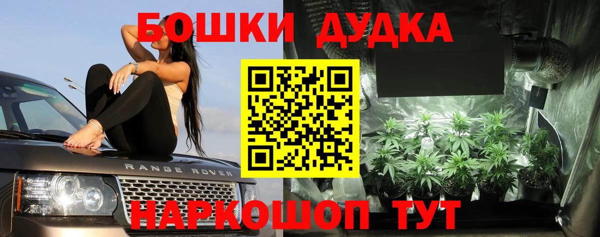 Бошки марихуана конопля  Вход с VPN  Орск  Шишки марихуана White Widow  Бошки Шишки THC 21% 